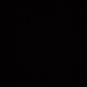 Meet your Posher, Eva